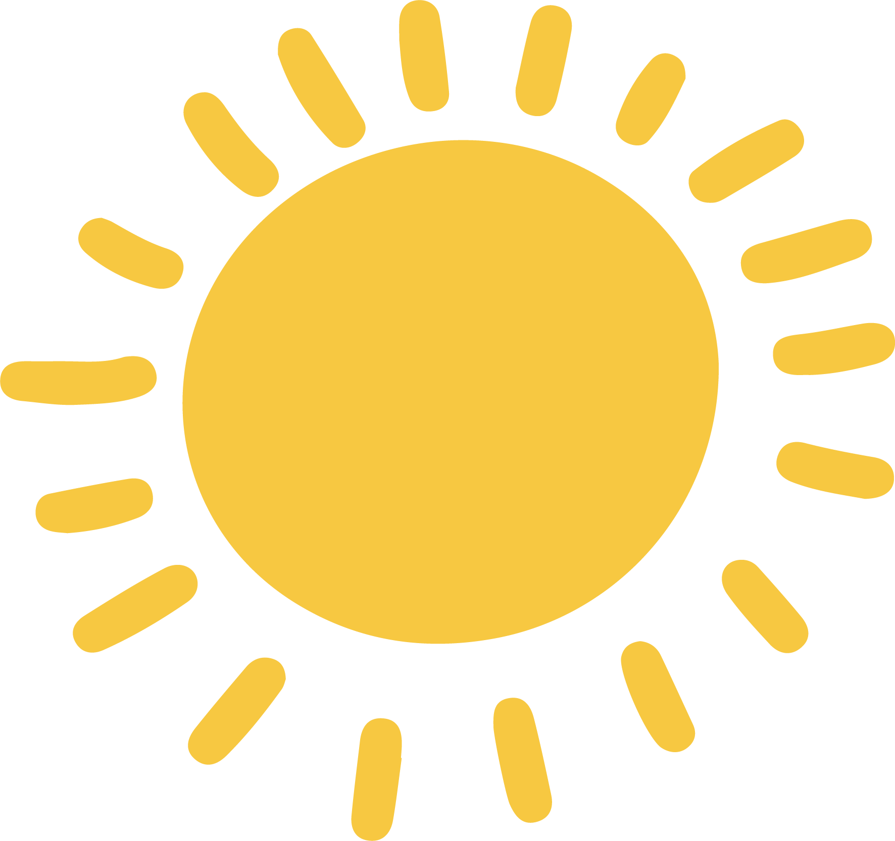 野外活動(お出かけ)